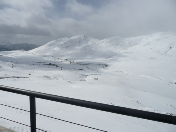 P1080155.JPG